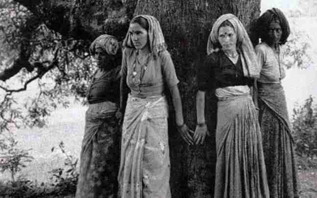 Organic Apoteke supports the Chipko Movement